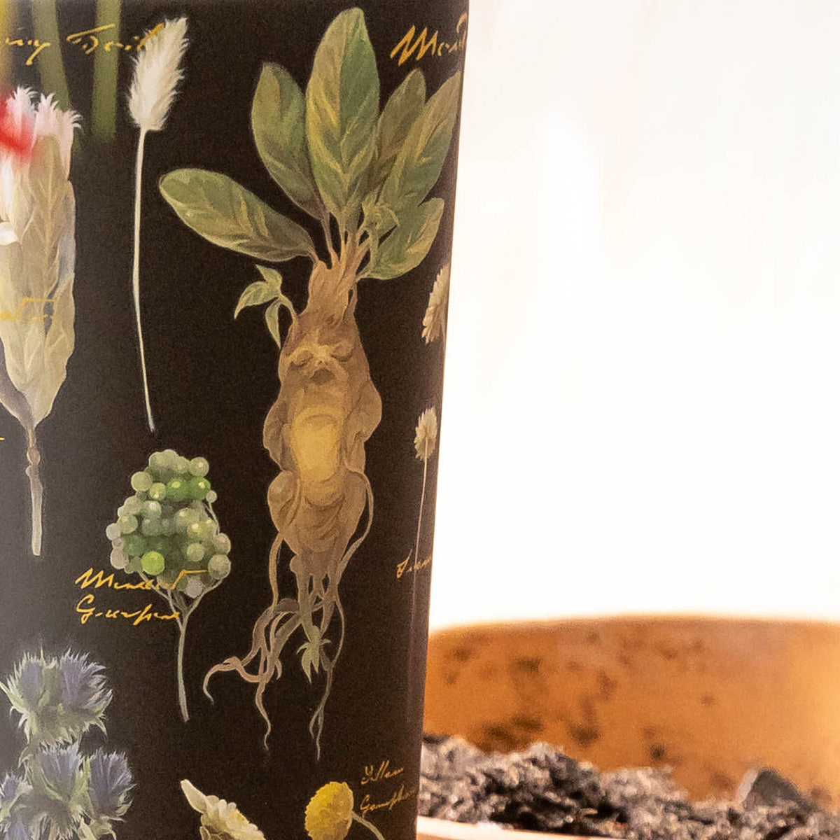 harry-potter-cold-cup-b1 Herbology-3.jpg